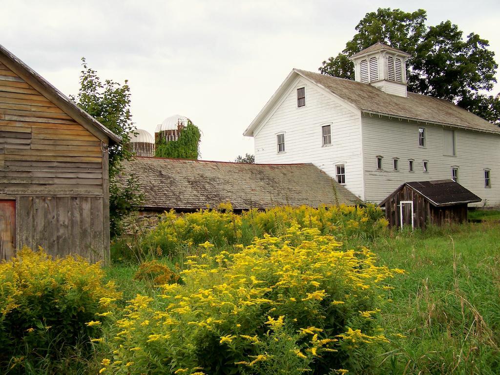 Saratoga Farmstead B&B 萨拉托加斯普林斯 外观 照片
