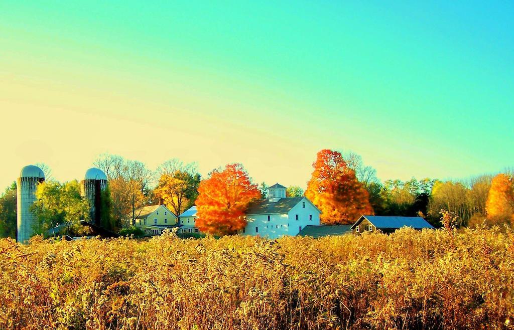 Saratoga Farmstead B&B 萨拉托加斯普林斯 外观 照片