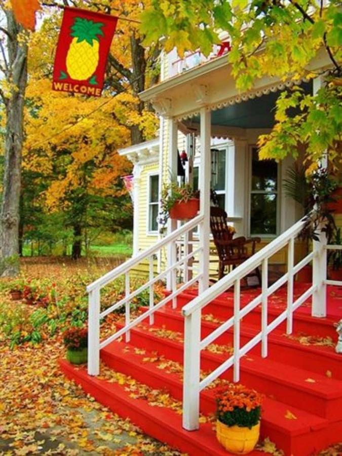 Saratoga Farmstead B&B 萨拉托加斯普林斯 外观 照片