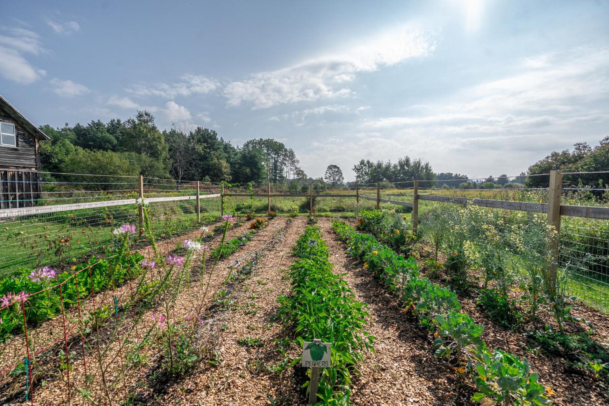 Saratoga Farmstead B&B 萨拉托加斯普林斯 外观 照片