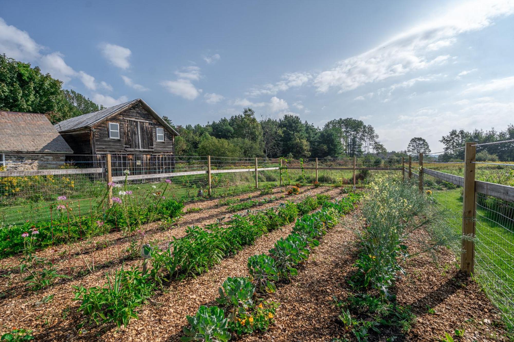 Saratoga Farmstead B&B 萨拉托加斯普林斯 外观 照片